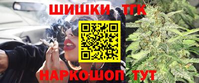 стафф Донской