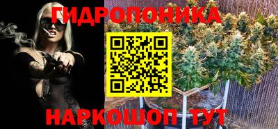 стафф Донской