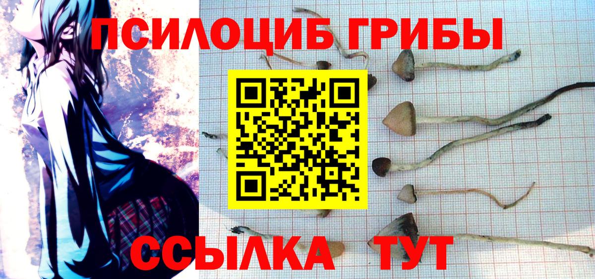 Скопин  Галлюциногенные грибы мухоморы  Вход с VPN 