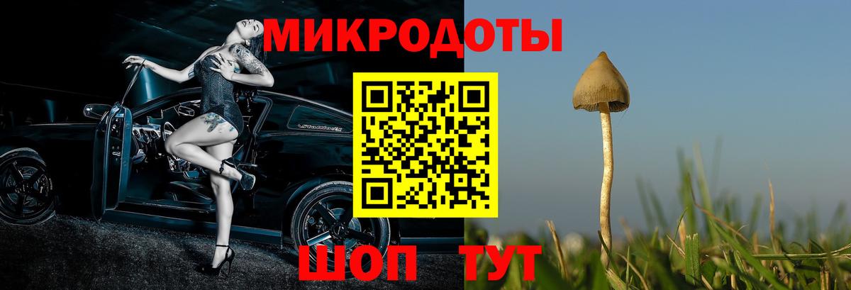 Псилоцибиновые грибы Psilocybe Скопин